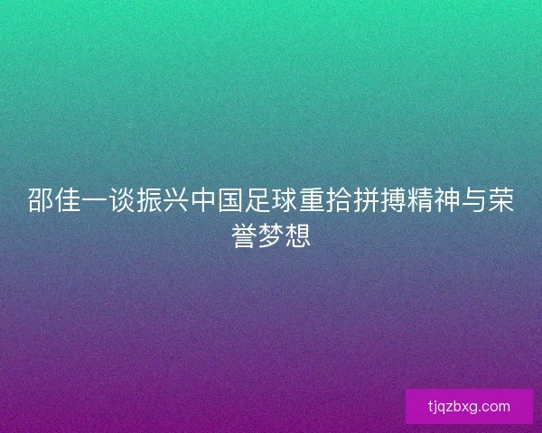 邵佳一谈振兴中国足球重拾拼搏精神与荣誉梦想